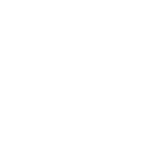 iZone logo